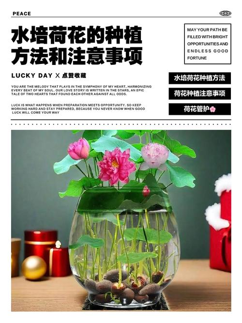 Plantation plant-load seed farming methods