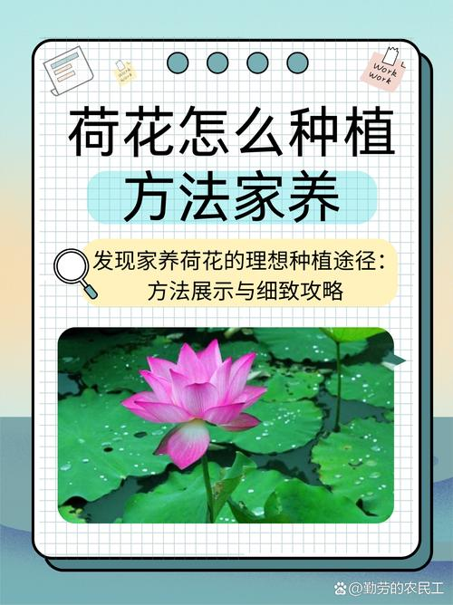 Plantation plant-load seed farming methods