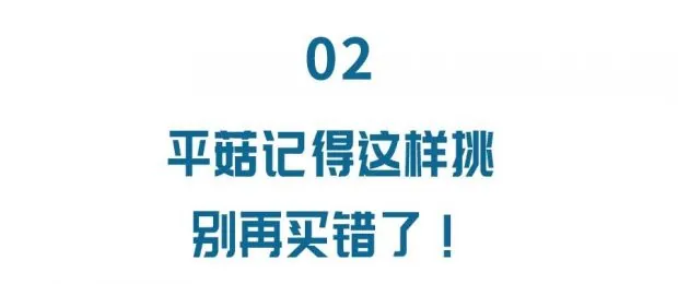 Home farming methods for mushrooms