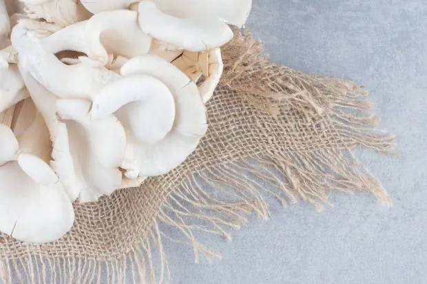 Home farming methods for mushrooms