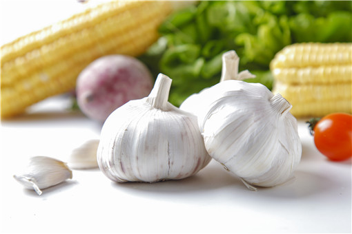 Garlic membrane cultivation techniques