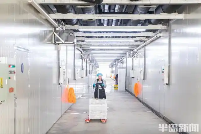 平菇的家庭种植方法