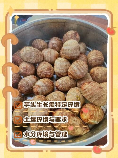 Potato growing techniques