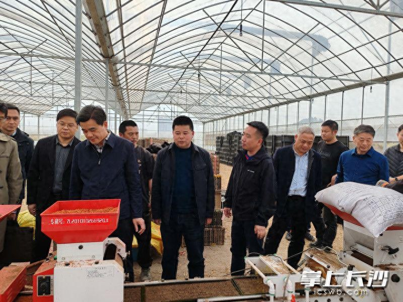 Technological video of sprouts