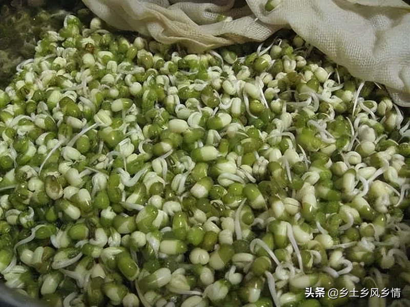 Technological video of sprouts