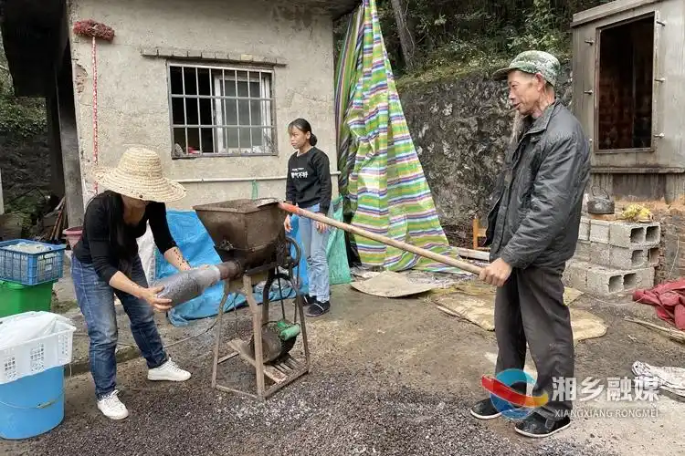 平菇的家庭种植方法