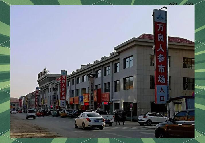 吉林万良人参价格暴跌