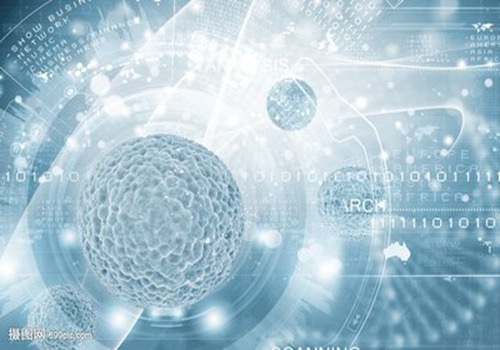 What's a seo parasite