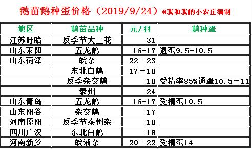 养鸭成本一只多少钱