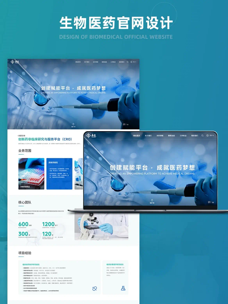 Optimizing website access speed