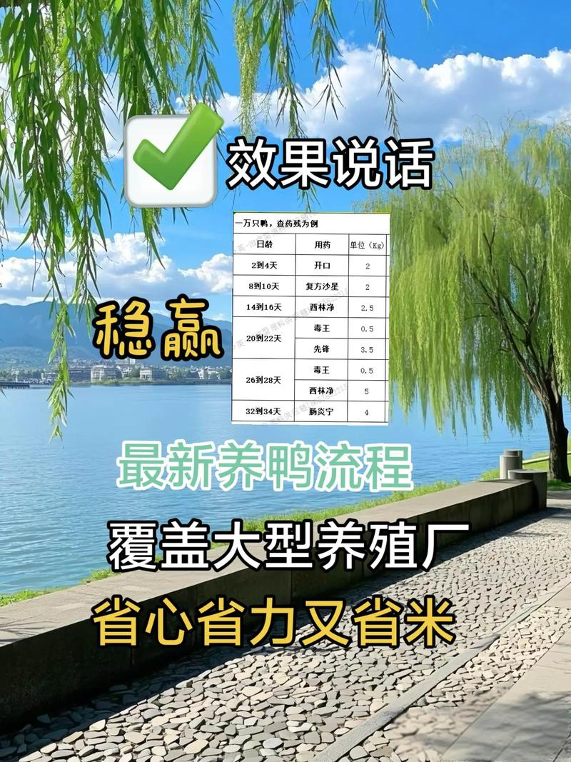 养鸭成本一只多少钱