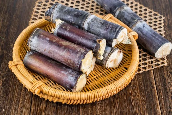 Ginnasium planting techniques