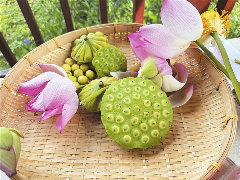 Lian yuen plantation technology flight 40