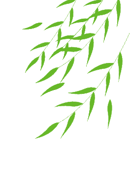 三农科普小课堂丨特色蔬菜之三 冰菜——为自己代“盐”