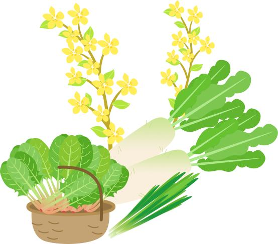 How do you grow ice grass