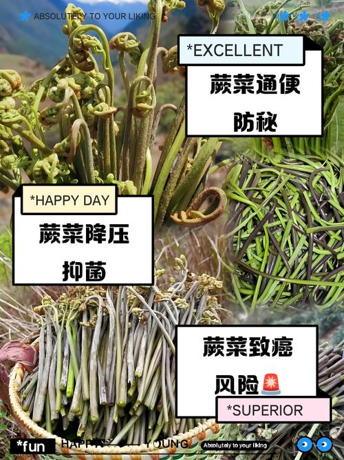 The technique of growing herbs