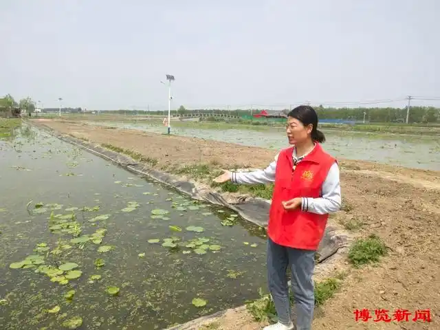 莲藕种植技术马航客机40