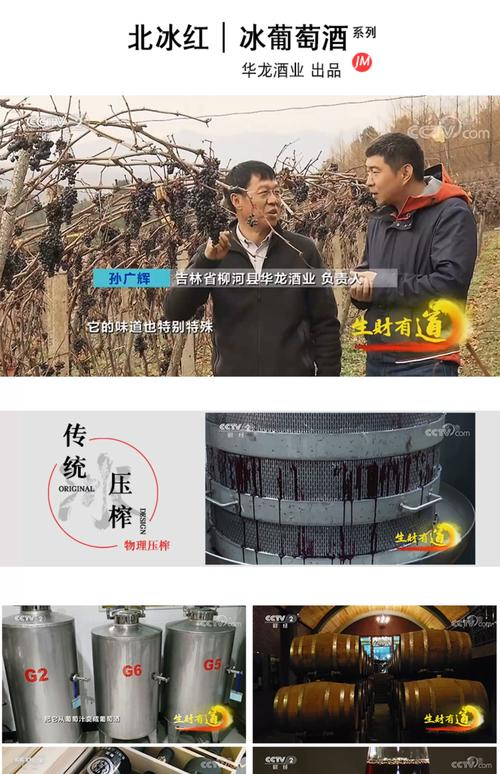 学习葡萄酒知识 网站