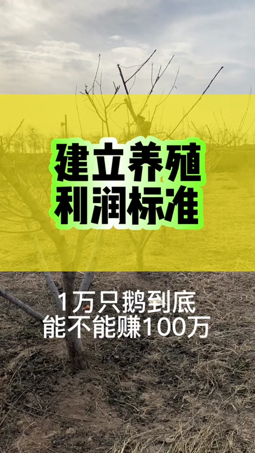 养鸭成本一只多少钱