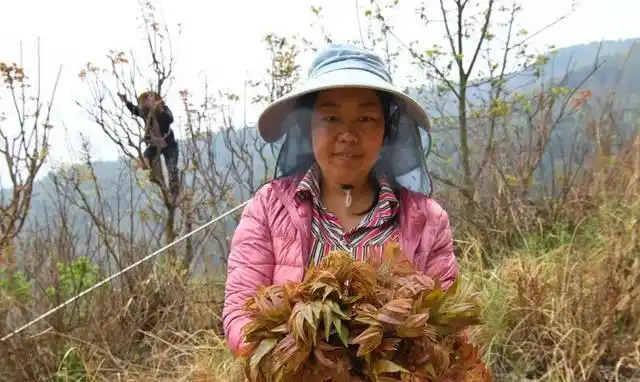 Plantation techniques