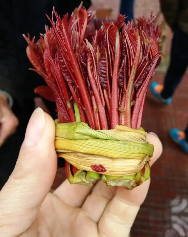 Plantation techniques