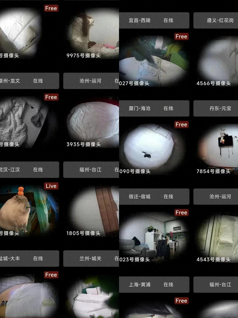 Anti-smuggling principles