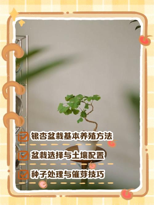 Method of planting seed seeds in red maple pelvis