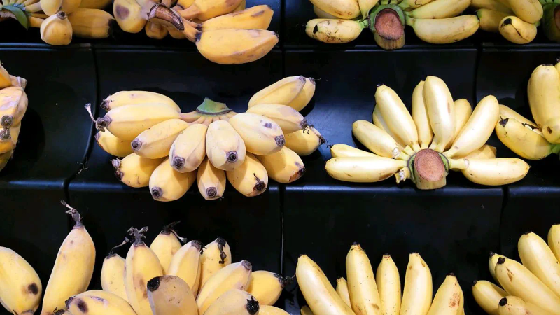 Banana cultivation technology video