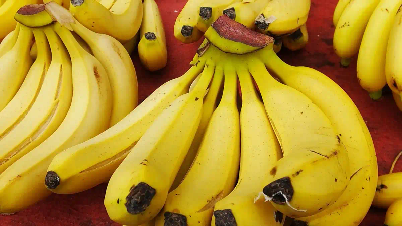 Banana cultivation technology video