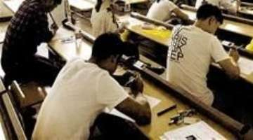 What kind of fruit can the shed grow