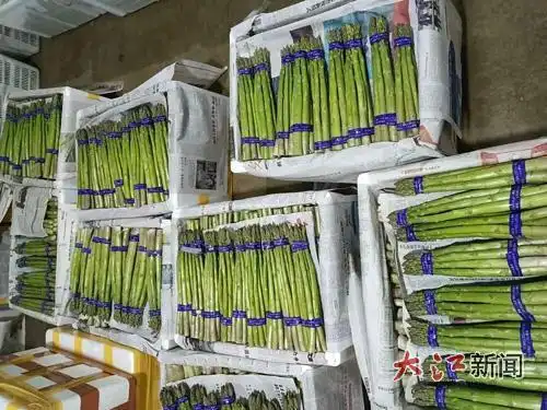 Oda pelican planting techniques