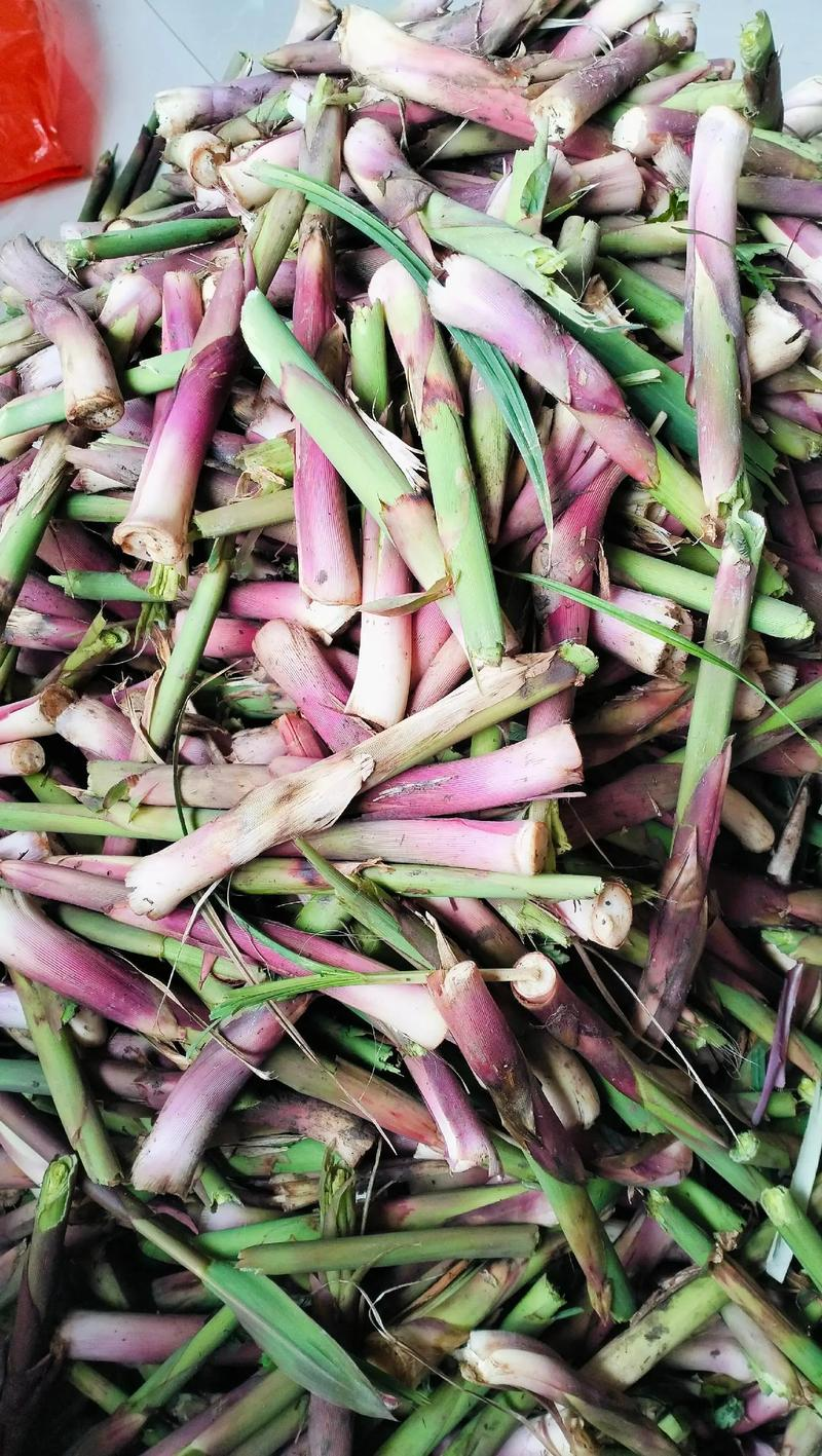 Oda pelican planting techniques