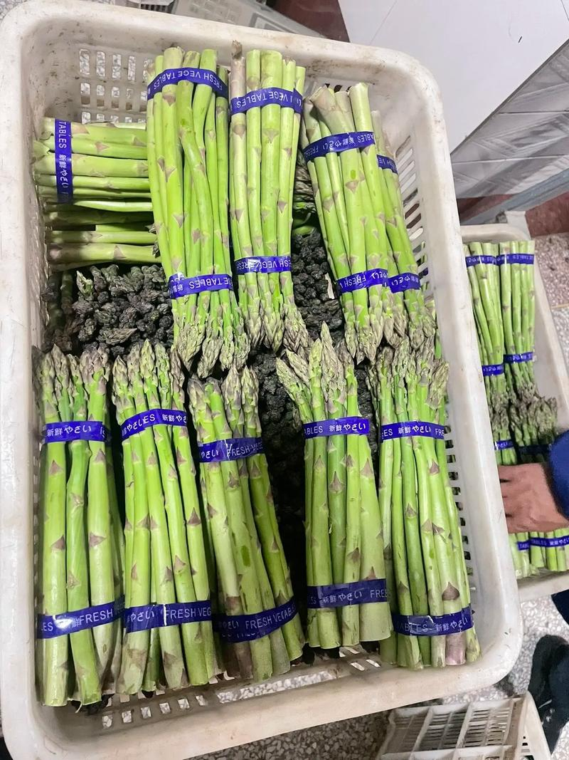 Oda pelican planting techniques