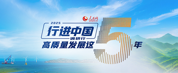 紫苏的种植方法