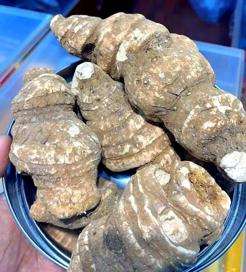 重楼不同的种植技术