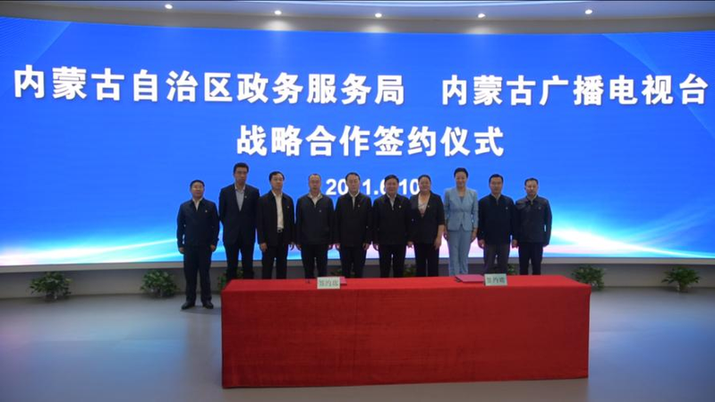 紫苏的种植方法