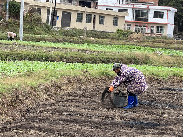 Oda pelican planting techniques