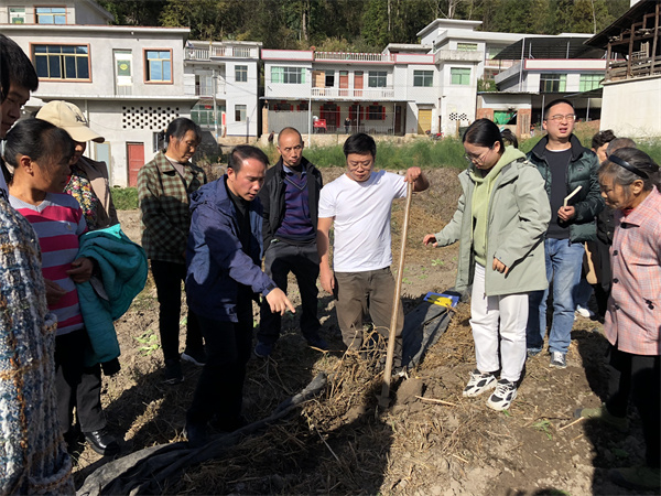 Oda pelican planting techniques