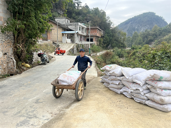 Oda pelican planting techniques