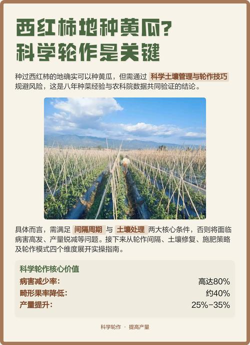 Summer shed cucumber cultivation techniques