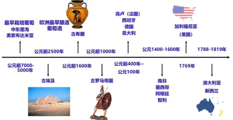 北方葡萄种植技术视频