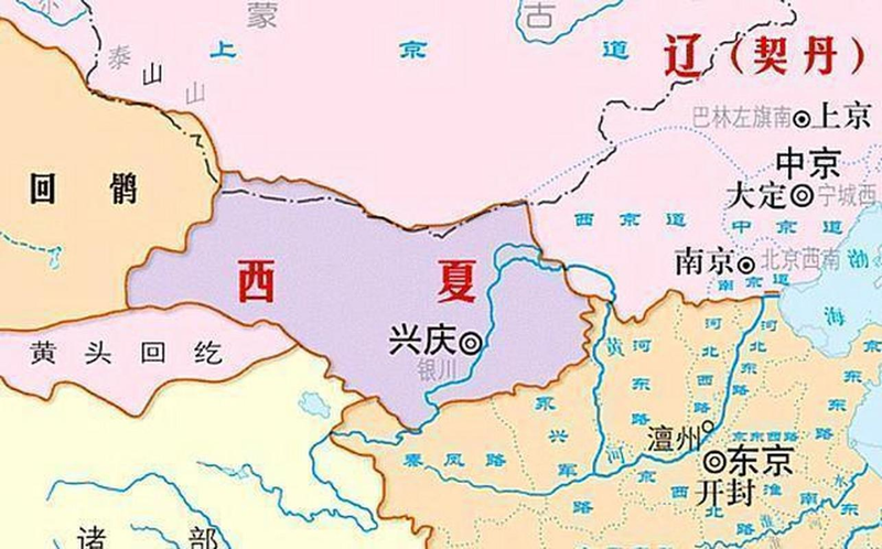 北方葡萄种植技术视频