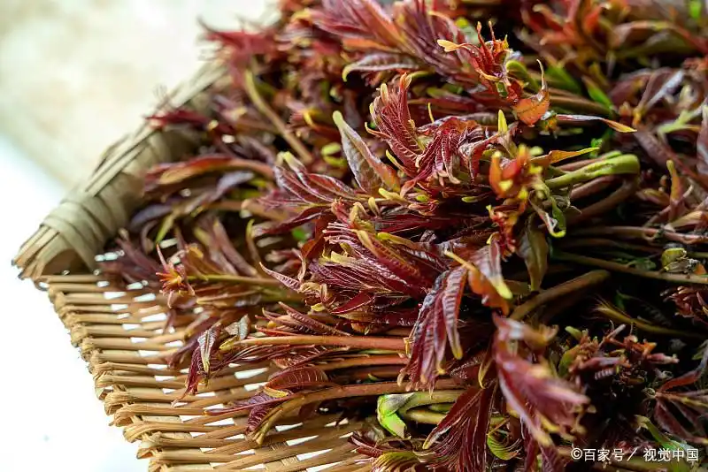 Plantation techniques