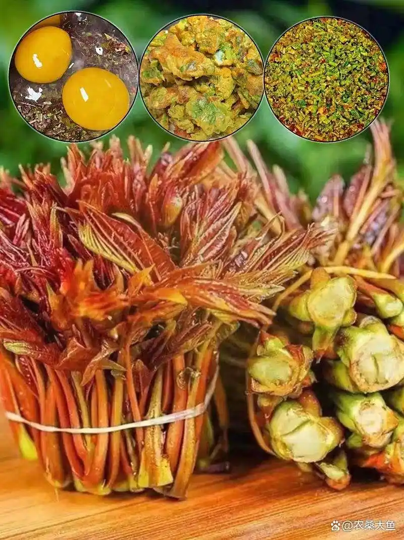 香椿树种植技术