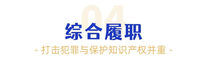 A book on crimes against intellectual property