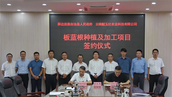 板蓝根种植技术视频