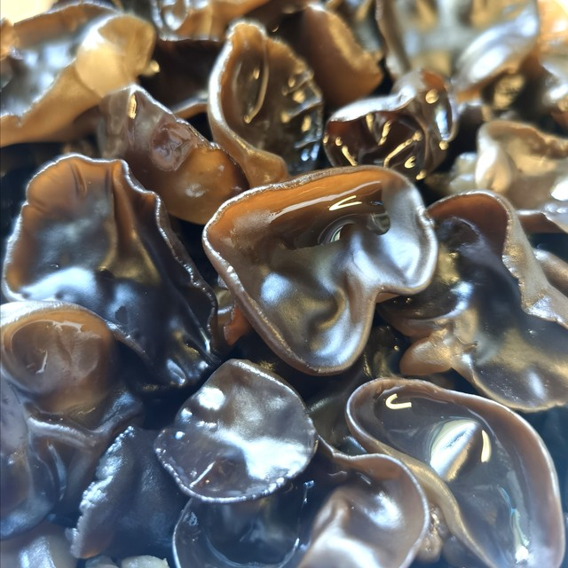 木耳的种植技术