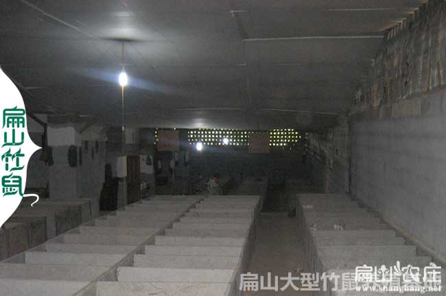 花鼠学养殖技术和种植技术