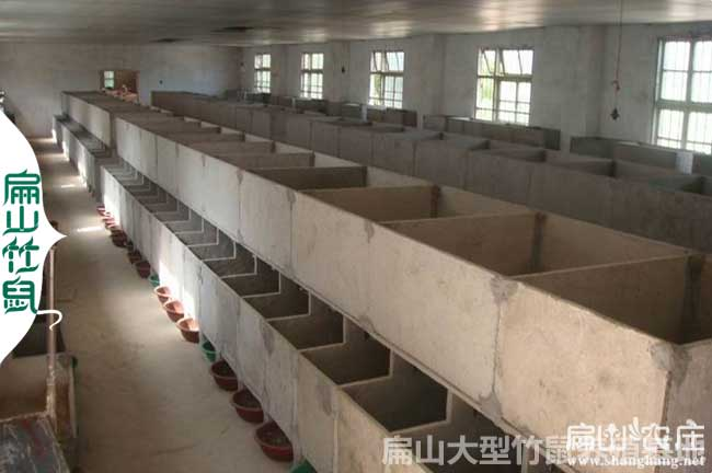 花鼠学养殖技术和种植技术