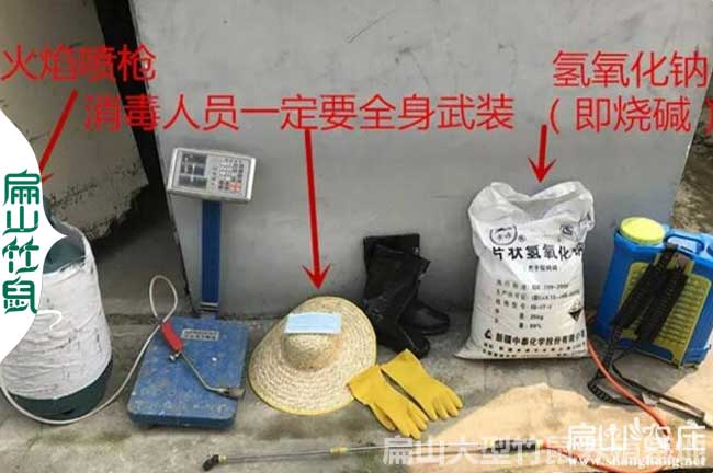 花鼠学养殖技术和种植技术